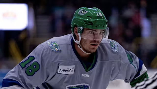 Florida Everblades capture game 5 of Kelly Cup South Division Semifinals - Vimarsana News