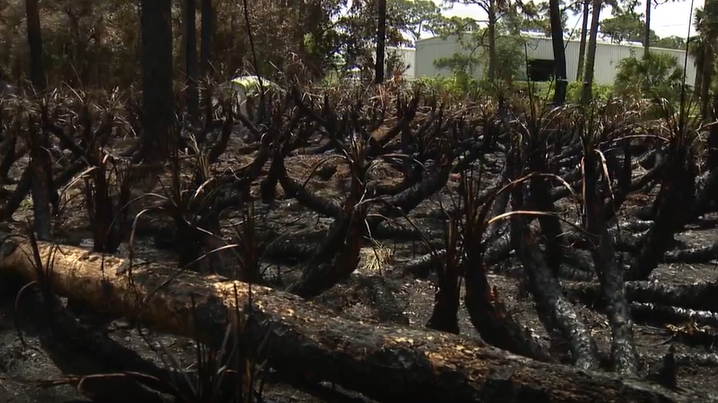 Palm Bay bush fires continue 3 days later