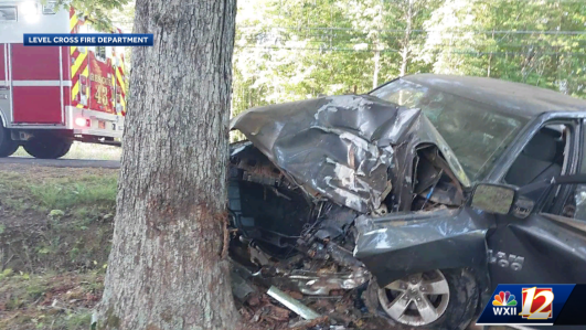 North Carolina: Triad driver airlifted after hitting tree - Vimarsana News