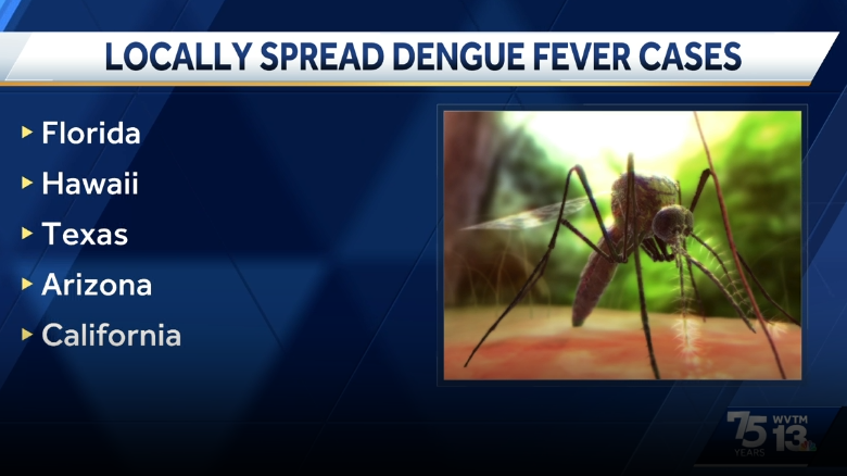 Concerns over mosquito-spread virus, as Latin America sees its worst outbreak on record - Vimarsana News