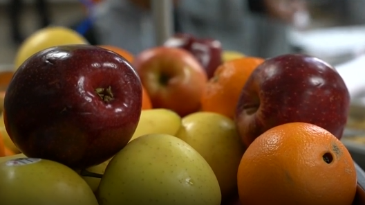 community food bank of central alabama