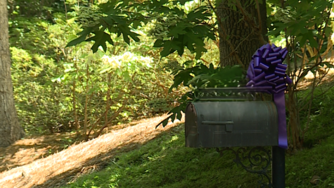 Mountain Brook supports shark attack victims with purple ribbons - Vimarsana News