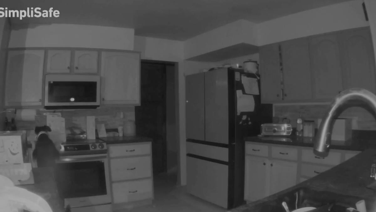 watch-dog-turns-on-stove-and-sets-house-on-fire