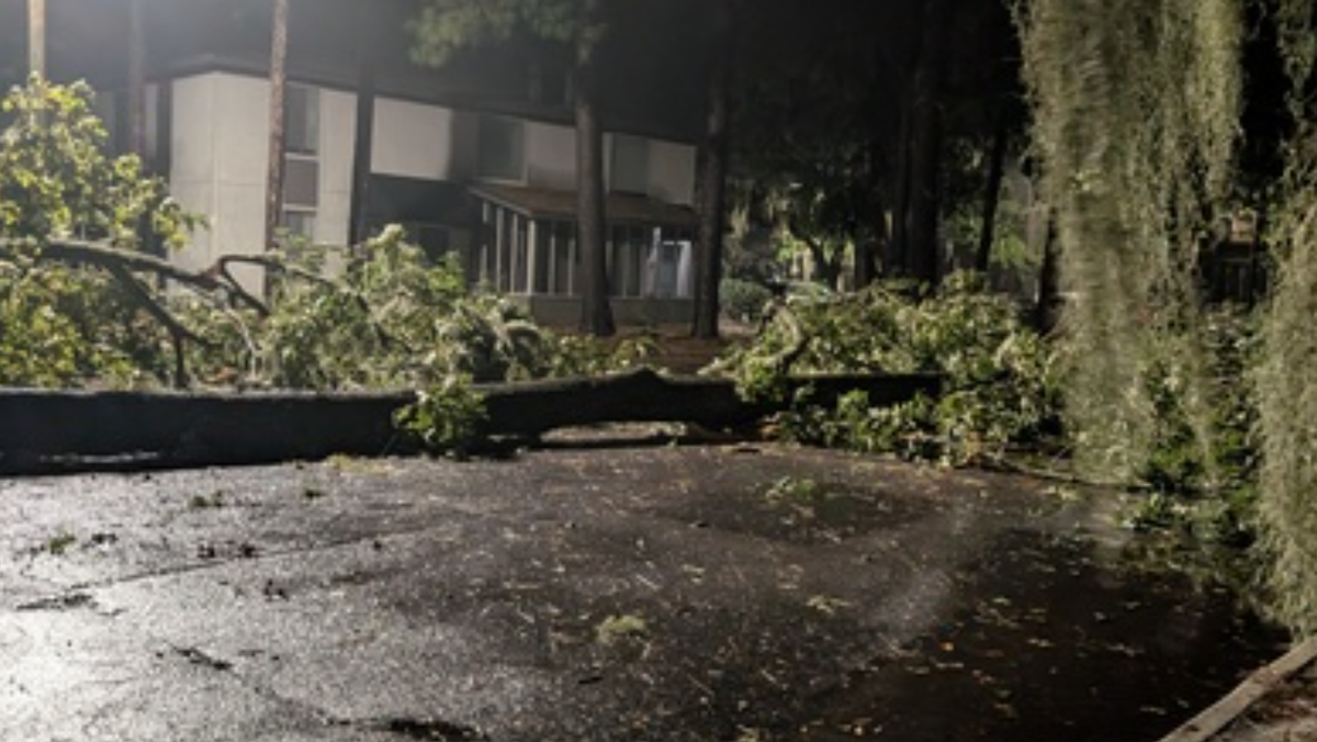 Hurricane Helene 3 confirmed dead in