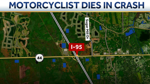 Man dies after crashing into power pole in Volusia County