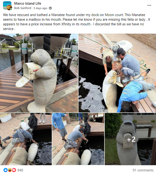 ﻿The first of many posts from Bob Sanford, sharing the progress of tracking down the owner of this mailbox.