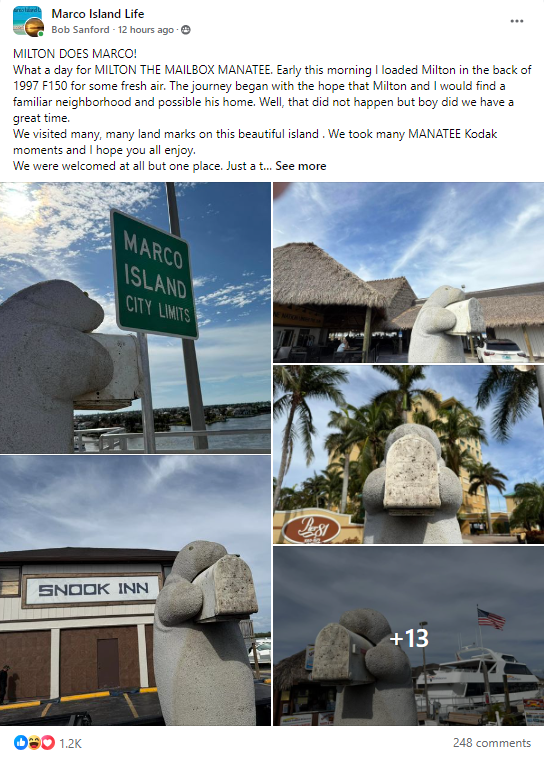 Milton the Mailbox Manatee taking many a Kodak moment around Marco Island as part of his City-wide tour.﻿