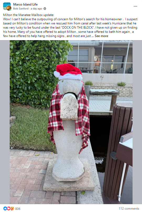 ﻿Milton the Manatee Mailbox's second post, where he dons a Santa Hat and a Christmas-themed blanket due to the cold front.