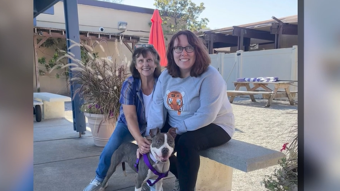 Dog who was abandoned, thrown over fence, gets adopted