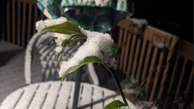 NC: Send in your photos of snow to WXII