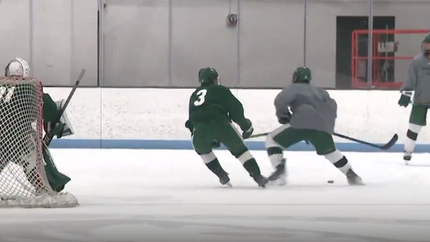 New Boston-based study shows CTE relatively common in hockey players