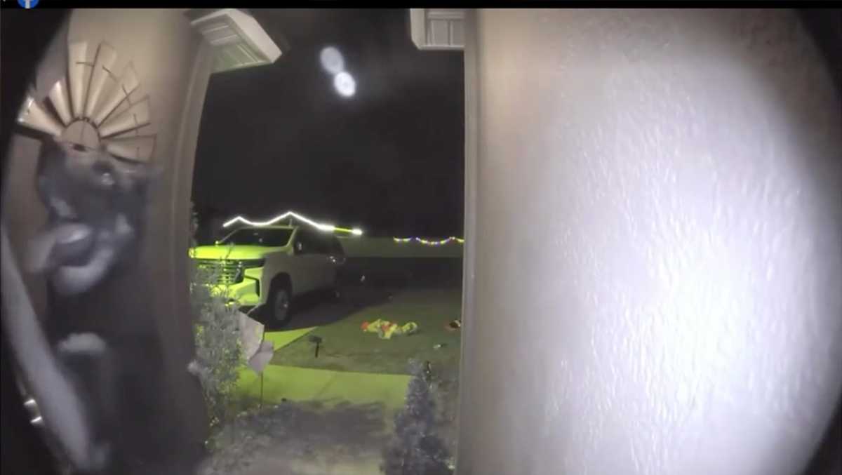 Missing dog rings doorbell, returns home for Christmas