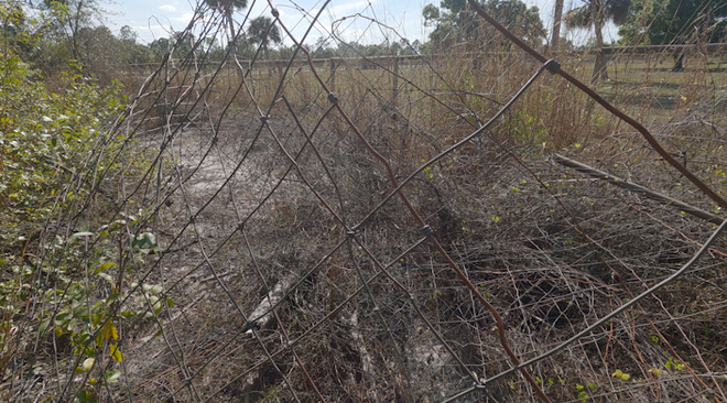 ﻿Large amounts of rusty barbed wire along an ATV trail north of the Orangetree community, directly off of a sharp turn and beyond the neighboring home's fence line.