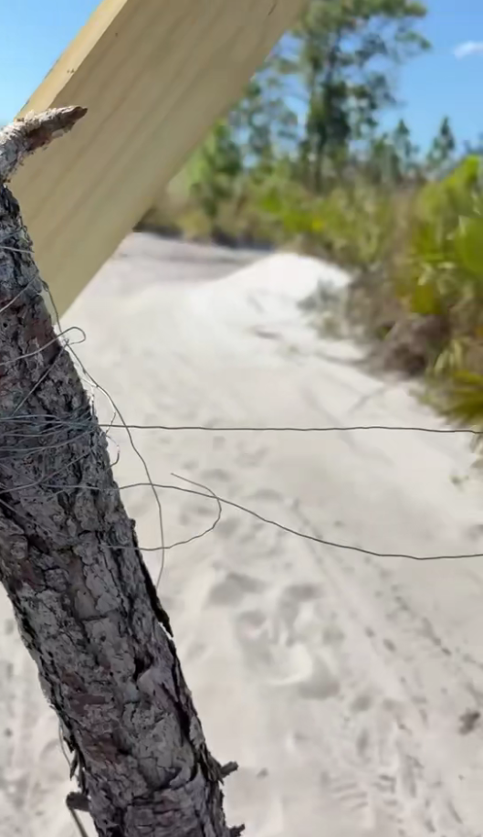 Barbed wire strung up across another trail in Golden Gate Estates.
