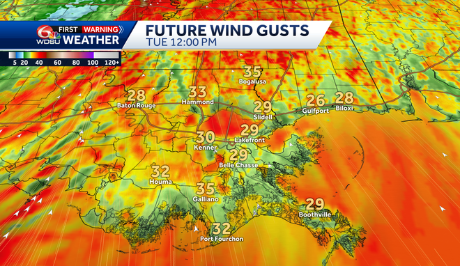 The gusts of wind on Tuesday