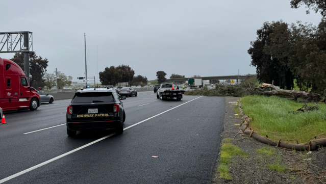 tree down i-80 solano tree down i-80 solano