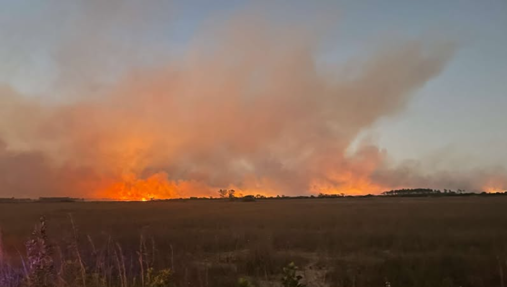 Nearly 2,000-acre brush fire burns in Florida's Everglades National Park