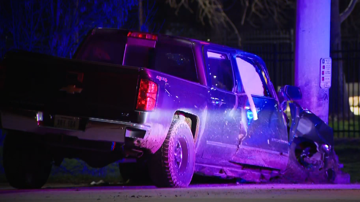 Driver crashes into light pole