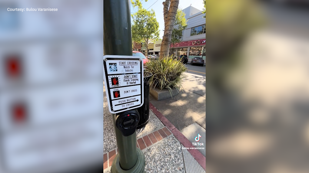 Section 2 background