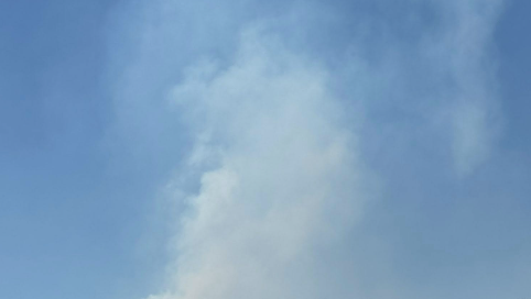 Are you sensitive to wildfire smoke? Canadian wildfires bring smoke to North Carolina