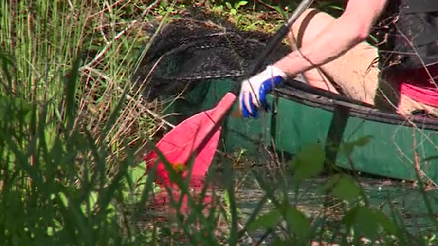 picking up trash at shades creek greenway