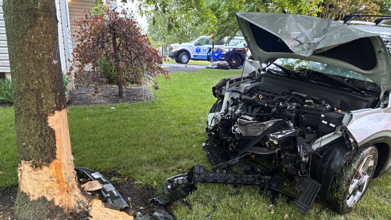 1 adult, 2 children severely injured after SUV slams into tree during ...