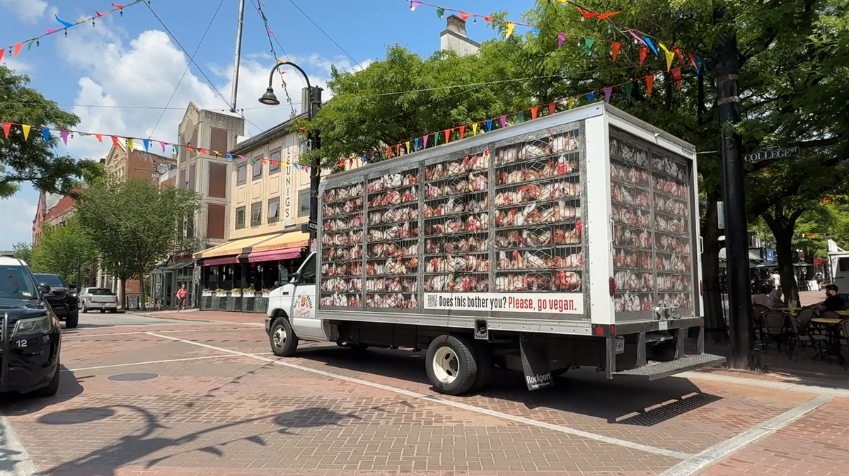Did you see a chicken truck around Burlington? This is the message it's sending