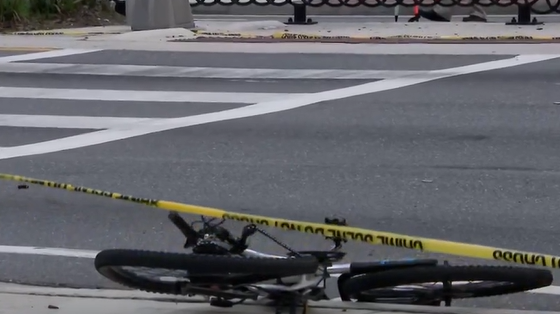 Man arrested in fatal hit-and-run crash in Orlando, FHP say