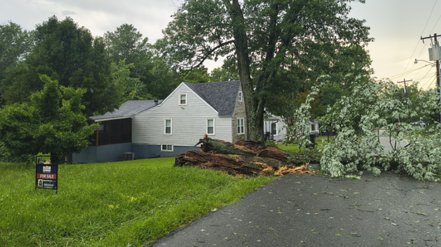 Storm Damage Cleanup in High Point