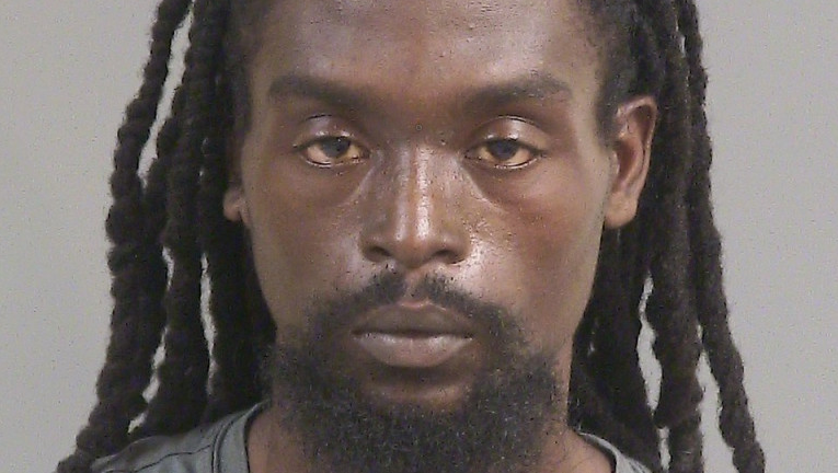 Man charged with trespassing, fatal hit-and-run in South Carolina