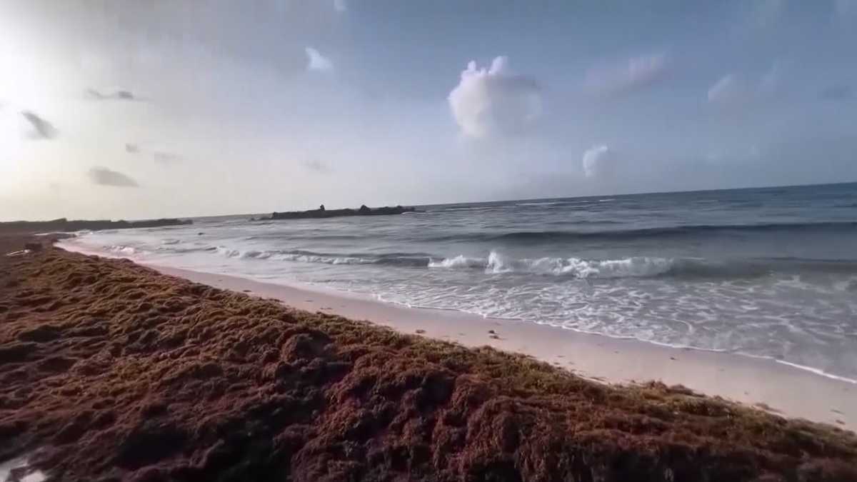 Vibrio vulnificus case reported in Martin County