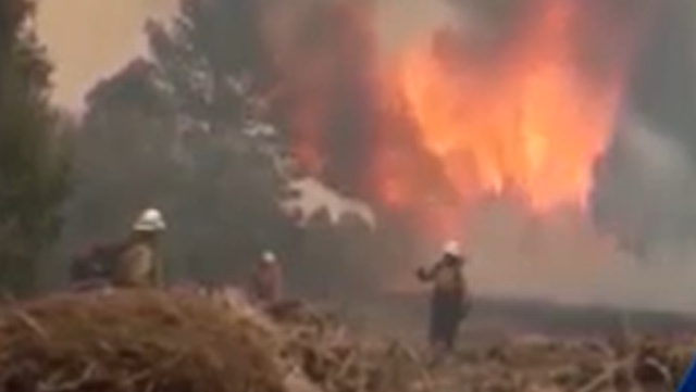 State Forestry Division lifts fire restrictions for now