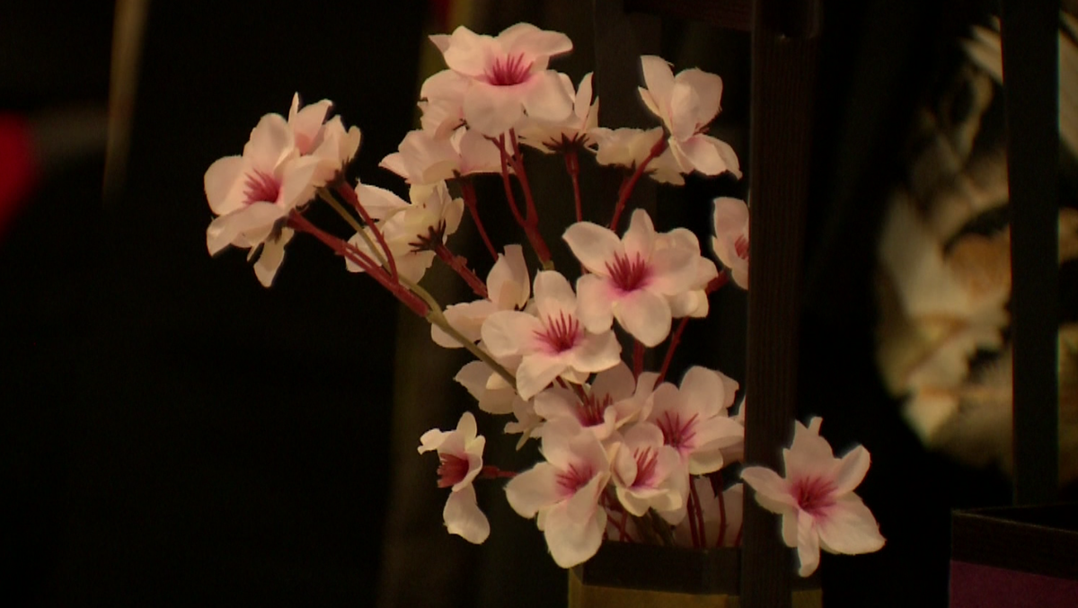 Japanese Fall Festival was more than happy to share its culture