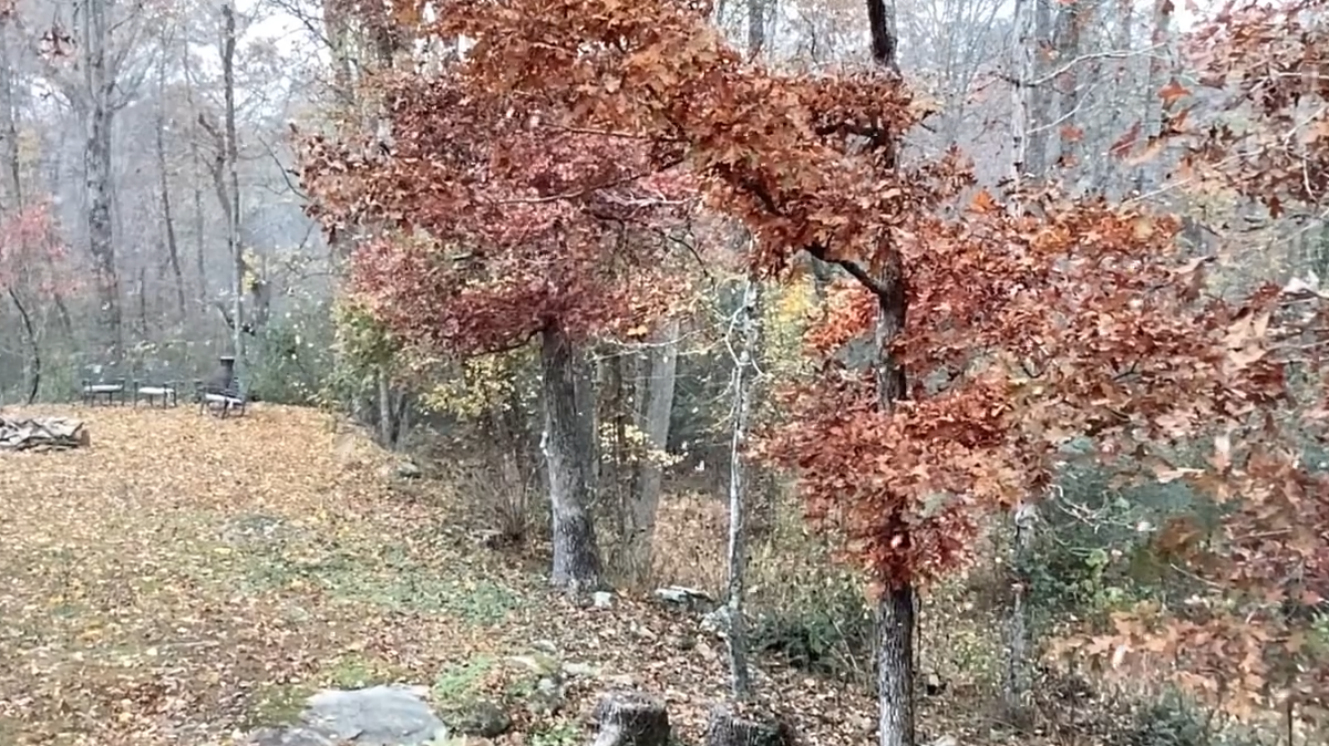 WATCH: Alabama sees first snow flurries of the season