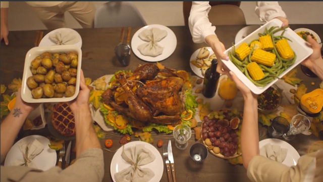 Holiday Pet Safety: Keeping furry friends safe this holiday season