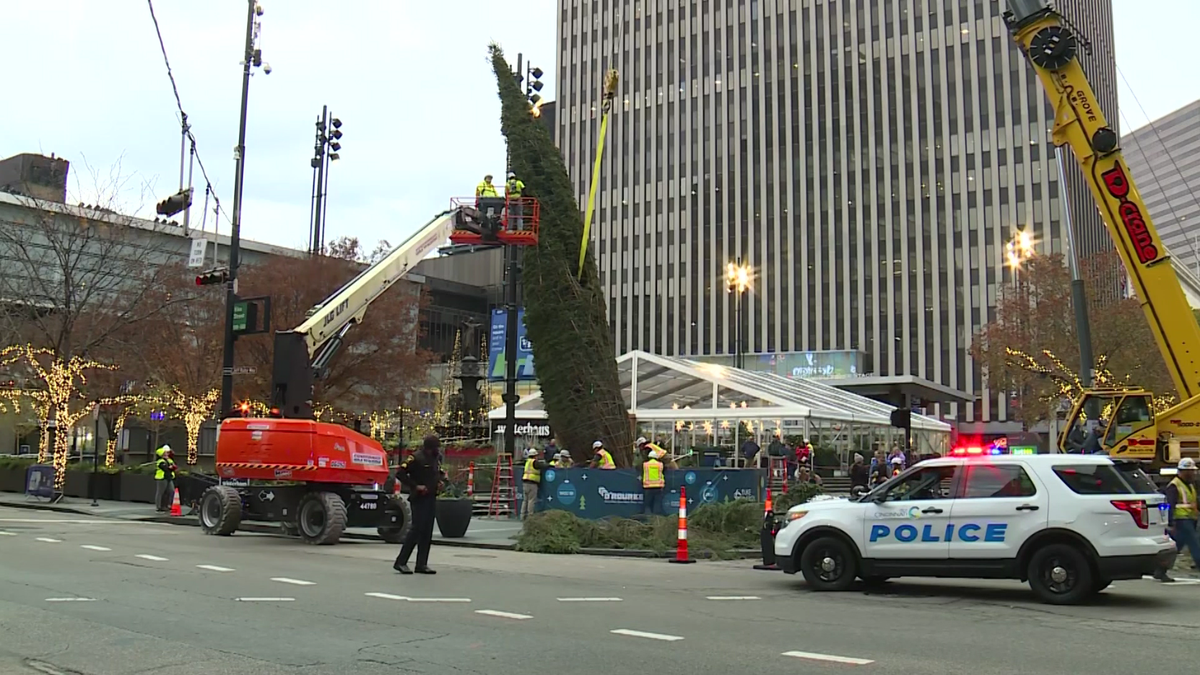 Cincinnati's iconic Christmas tree returns to Fountain Square - WLWT