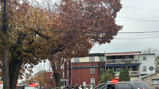 Homicide investigation underway after man stabs woman in Dauphin County ...