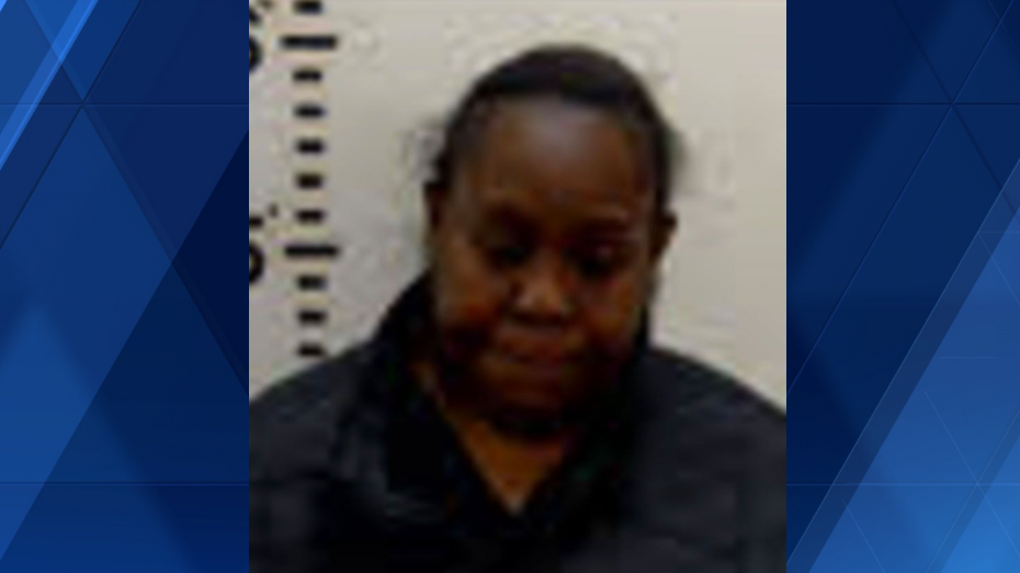 North Carolina woman charged with murder after 1-year-old dies in foster home