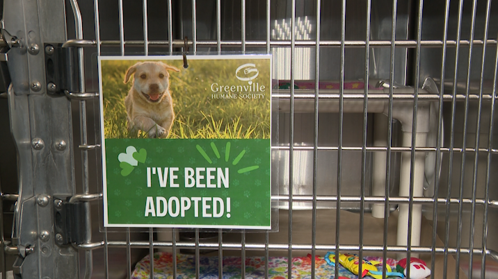 From kennel to home: Families adopt and welcome furry friends for the holidays
