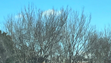 1 person airlifted after train and truck collision in Poteau, Oklahoma