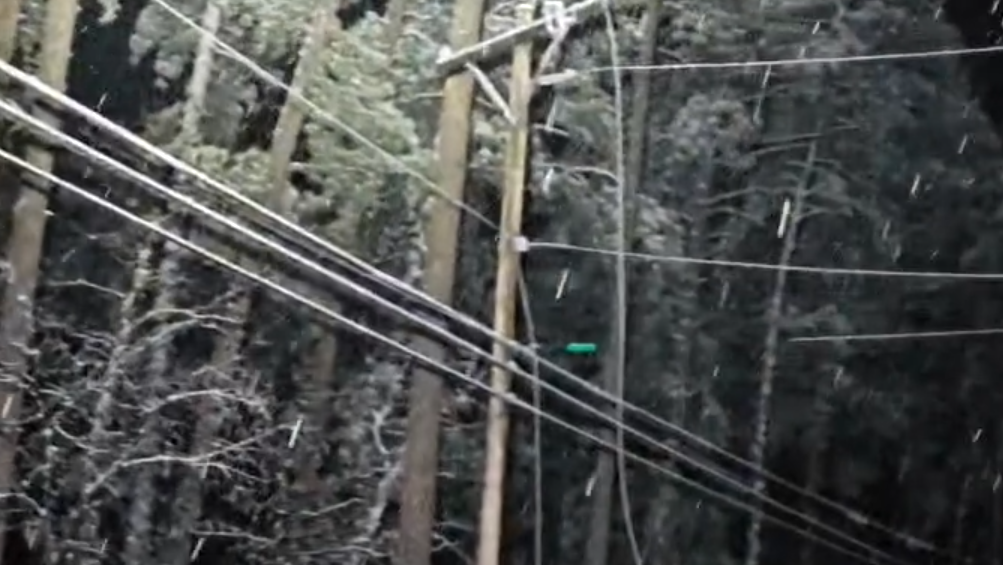 Power lines downed by ice pose an extreme danger
