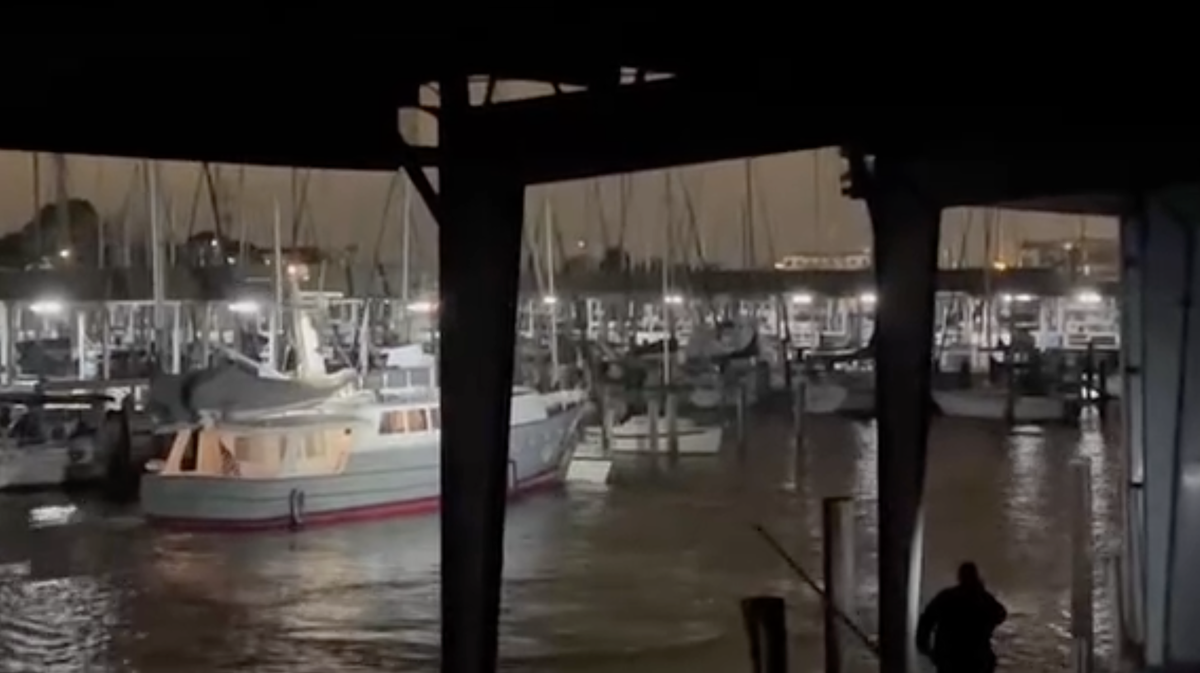 Wild video: Man attempts to steal yacht, crashes into other boats at marina