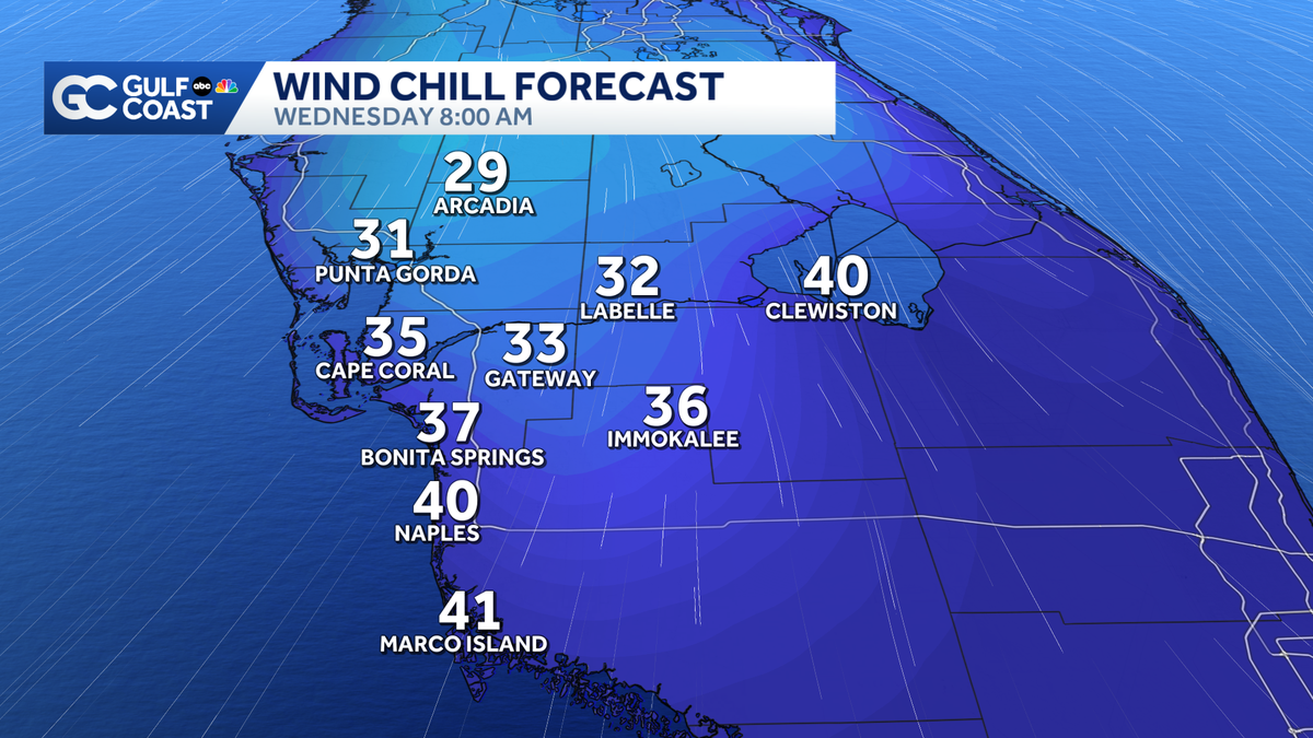 Impact Day: Arctic air hits the Gulf Coast, freeze warning in effect - WBBH