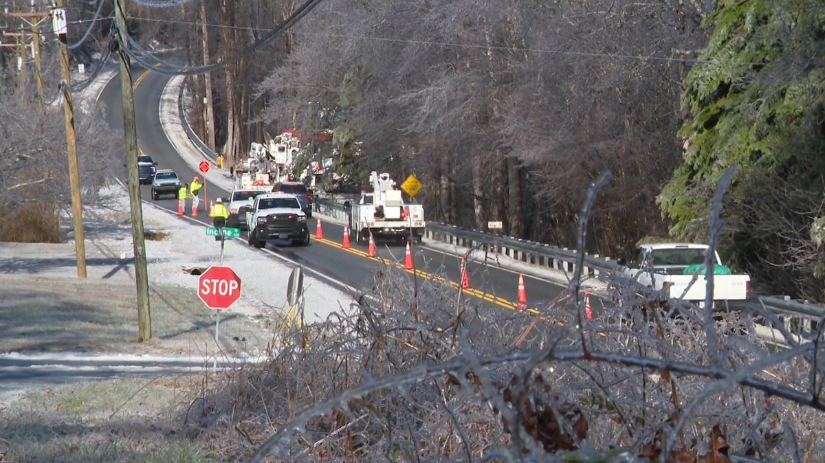 Preventing tree damage after ice storm, ahead of potential snowfall