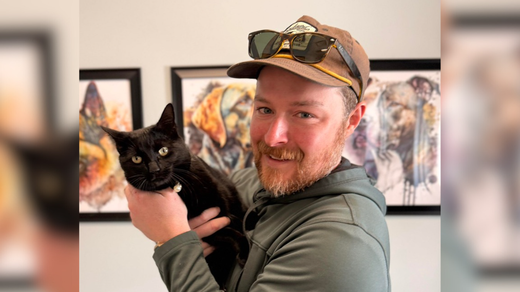 Cat missing for nearly a year found in Missouri, reunited with owner thanks to microchip