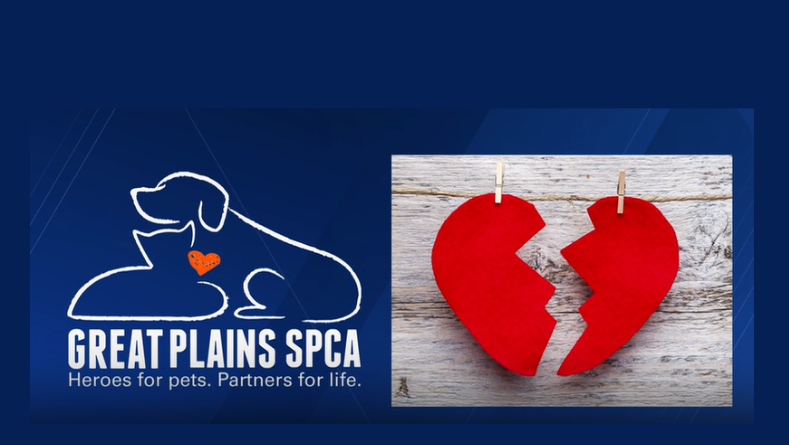 Kansas City metro animal shelter offering a chance to 'neuter your ex'