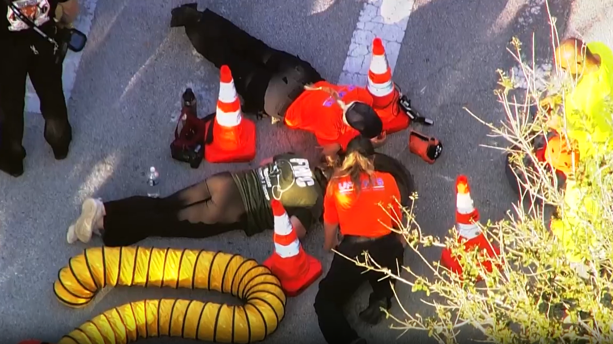 Manatee stuck inside storm drain; rescue effort underway in Brevard County