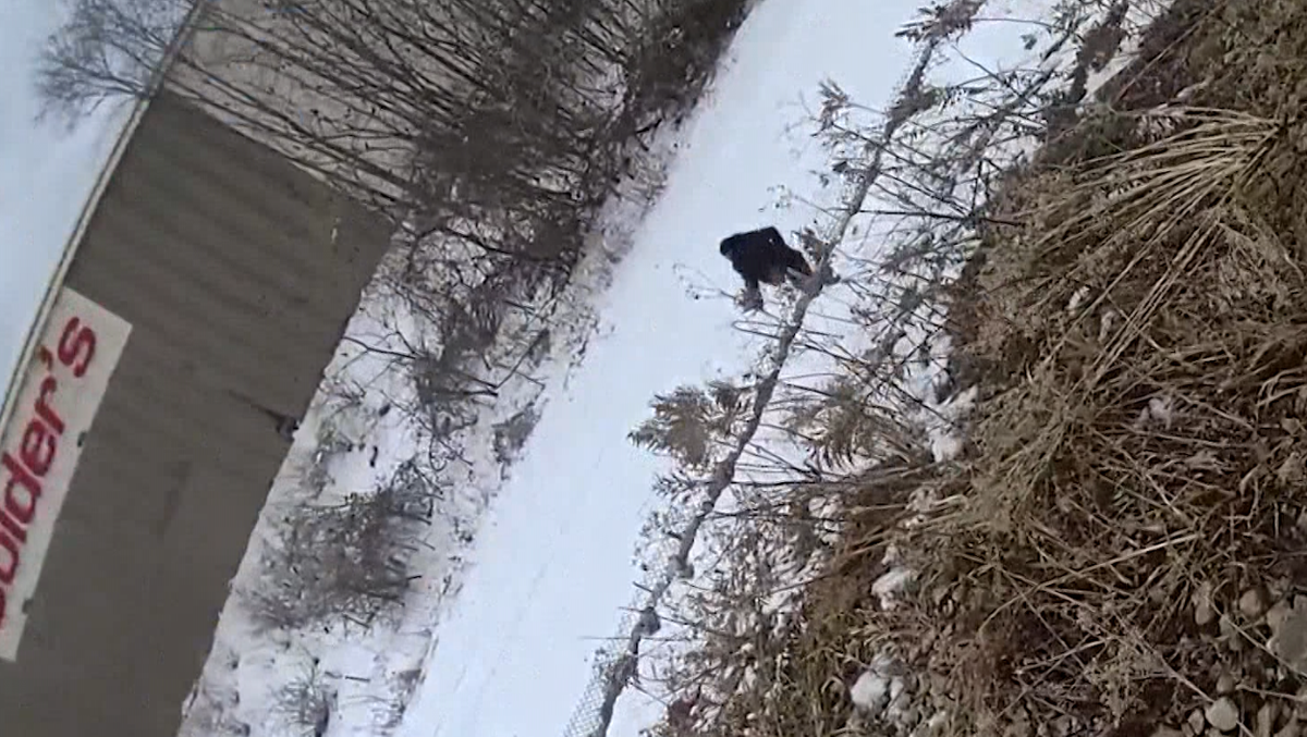 New video: Police car chase in Brookfield ends with arrests after theft at Best Buy