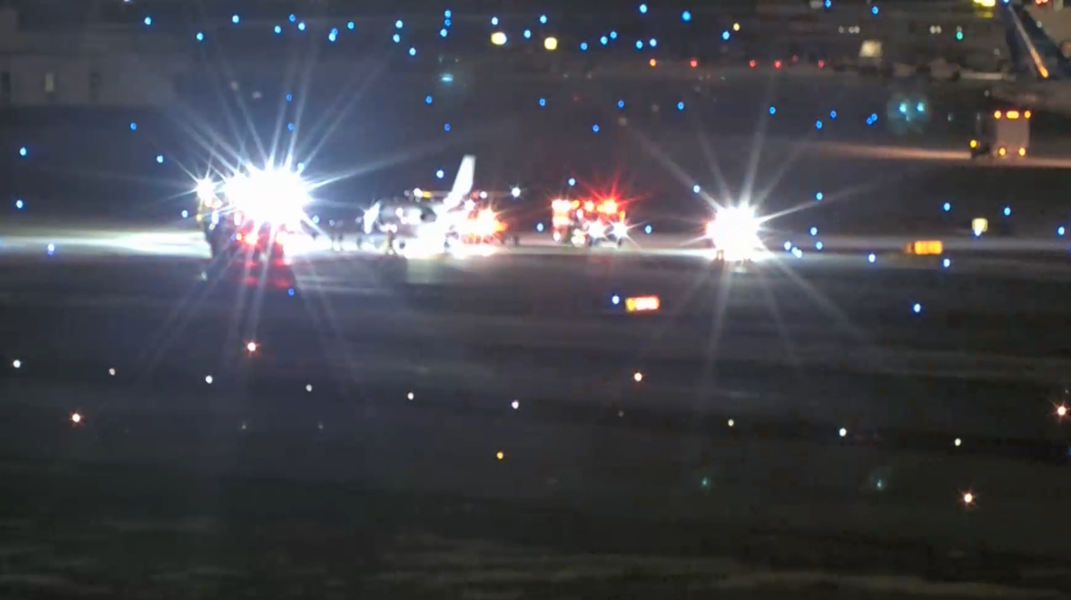 Plane makes emergency landing after striking multiple deer during takeoff at Florida airport