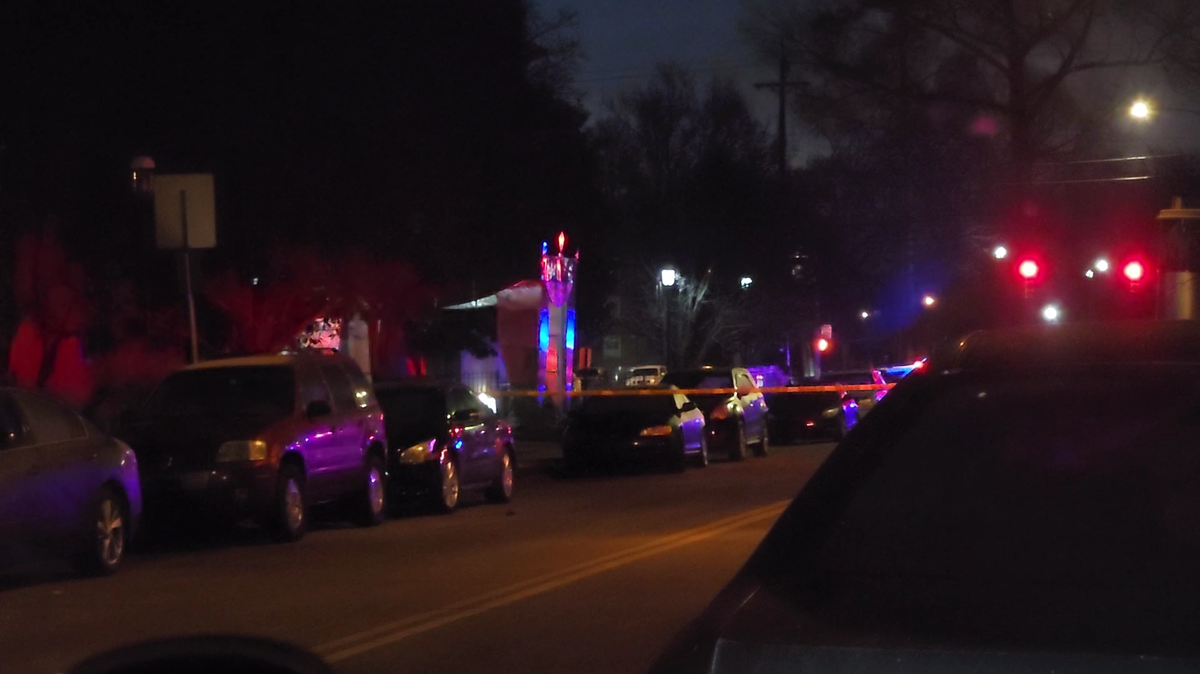 Tree falls, knocks down power lines in front of Vice President Vance's East Walnut Hills home